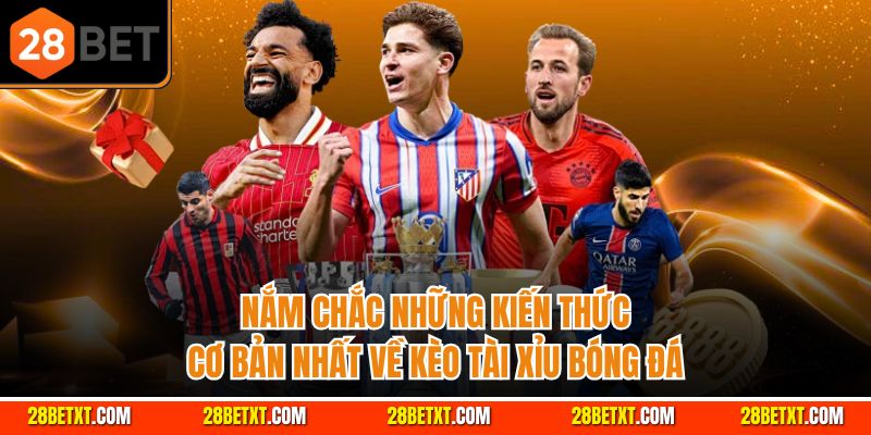 Nắm chắc những kiến thức cơ bản nhất về kèo tài xỉu bóng đá